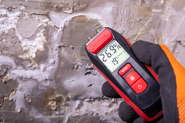 Best Insurance-Related Mold Remediation in George West, TX