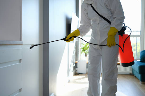Best Mold Remediation for Schools in George West, TX