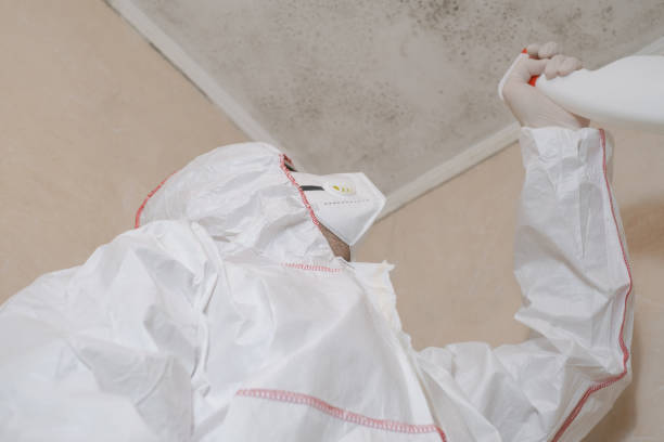 Best Post-Flood Mold Remediation in George West, TX