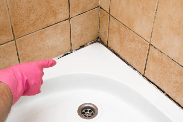 Best Crawl Space Mold Remediation in George West, TX
